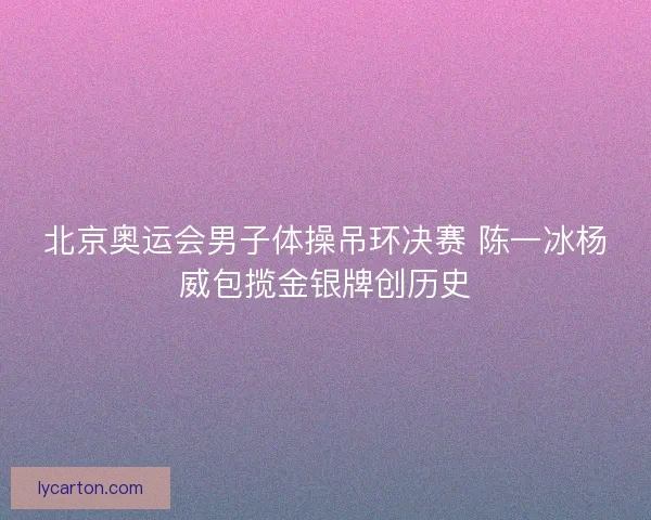 北京奥运会男子体操吊环决赛 陈一冰杨威包揽金银牌创历史